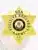 Gold metal 6-point star badge designed for Fugitive Recovery Agents, displaying the State of Colorado seal in the center. The badge is inscribed with 'USA Fugitive Recovery Agent CO' around the seal and has a safety pin fastening.
