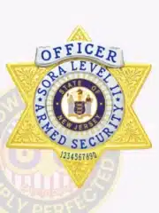 Metal badge shaped as a six-point star in gold with intricate silver paneling, labeled "SORA Level II Armed Security Officer," showing the New Jersey state seal and including a safety pin attachment.