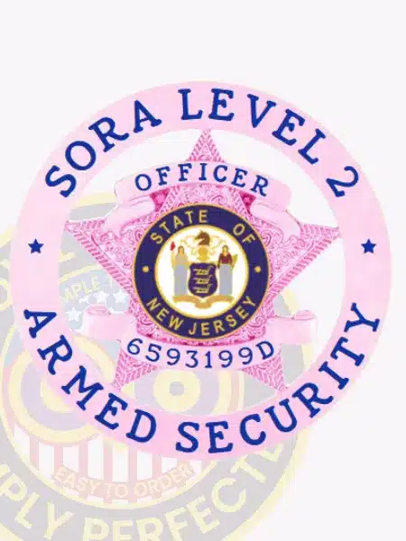 Custom BCAM pink metal badge with circular banner design for SORA Level II armed officer, featuring blue embossed text "SORA LEVEL 2 ARMED SECURITY" around the circle, a pink star with detailed eagle engraving, the State of New Jersey seal in the center, and badge number 6593199D.