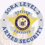 5 Point Star SORA Level 2 Badge view 4