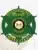 Custom St. Patrick's Day green 6-point star metal badge with a circular banner for Fugitive Recovery Agent. The badge is personalized with the name Laura Simmons and agent number 7123456, featuring the State of Delaware seal in the center, surrounded by gold lettering, and includes a safety pin attachment.