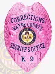Detailed photo of a bright pink law enforcement badge for Wayne County Corrections, showing an eagle crest on top, pink banners with blue lettering for "Corrections Wayne County Sheriff's Office K-9," the Arkansas state emblem in the center, and a safety pin on the back.