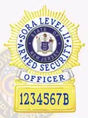 Official custom gold and silver starburst metal badge for SORA Level 2 officers, featuring 'SORA LEVEL 2 ARMED SECURITY OFFICER' text around the New Jersey state seal, detailed starburst edges, blue serial number '1234567B' on gold panel, and a safety pin on the back.