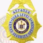 Eagle Top SORA Level 2 Badge view 4