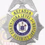 Eagle Top SORA Level 2 Badge view 5
