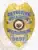 Gold and silver custom detective badge for Hollistor Investigations Inc, Arizona, decorated with a gold eagle at the top, blue embossed letters on silver panels reading “DETECTIVE HOLLISTOR INVESTIGATIONS INC,” the Arizona state seal in the center, and secured with a safety pin attachment.