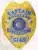 Custom-designed gold metal badge with an eagle at the top, highlighted by silver panels displaying "Captain Rockland Corrections" in blue text, the official Wisconsin state seal in the center, and badge number C145, equipped with a safety pin for attachment.
