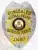 Detailed silver and gold metal concealed handgun permit badge, personalized with the name Michael Braun, showing gold accents on the text panels including "CONCEALED" and "HANDGUN PERMIT," the Colorado state emblem in the middle, a serial number 234567 in gold at the bottom, and a safety pin attachment for secure wear.