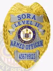 Detailed gold metal badge with silver panels for SORA Level II armed officer, highlighting blue embossed "SORA LEVEL II ARMED OFFICER" text on silver banners, eagle design at the top, New Jersey state seal, and safety pin clasp for attachment.