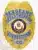 Detailed custom badge showing a gold eagle on top, silver-colored panels with blue text reading "Sergeant Department of Corrections," and a circular Colorado state emblem centered. The badge has a safety pin attachment for secure wear.