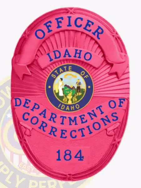 Gold corrections badge designed for the Department of Corrections Warden in Colorado, showcasing a gold eagle crest, black text on gold banners, and the Colorado state seal prominently in the center. Includes a safety pin fastener.