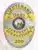 Silver and gold corrections badge designed for an Idaho Department of Corrections Lieutenant, with gold banners displaying blue text, a detailed state seal, and an oval shape. Equipped with a safety pin fastener.