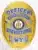 Official gold oval badge with silver accents for an Officer in Wyoming Rehabilitation Corrections, showing bold blue text, the state seal prominently in the middle, and a safety pin fastener on the back for attachment.