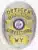 Detailed custom badge featuring a silver oval base, gold banners with blue lettering, the Wyoming state emblem in the center, and "WY" initials. Includes a safety pin attachment for easy securing.