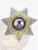 Silver and gold 7-point star badge for Illinois Department of Corrections, showcasing detailed embossing on the silver star with gold accent panels, a center state seal featuring the official Illinois emblem with eagle and landscape, bordered by blue lettering, and numbered 3557; equipped with a safety pin fastener.