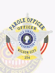 Silver 5-point star metal badge designed for Washington Juvenile Corrections Parole Officers, with detailed embossing on the star points, a central circular state seal displaying "STATE OF WASHINGTON," surrounded by a gold ring with blue lettering "PAROLE OFFICER JUVENILE CORRECTIONS WASHINGTON," and labeled "OFFICER," "WILSON CITY," and badge number 254; attached with a safety pin.