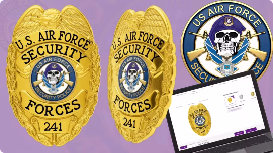 Air Force Security Forces badges displayed
