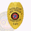 County Eagle Top Shield Badge Front. Gold county police badge with Tennessee state emblem