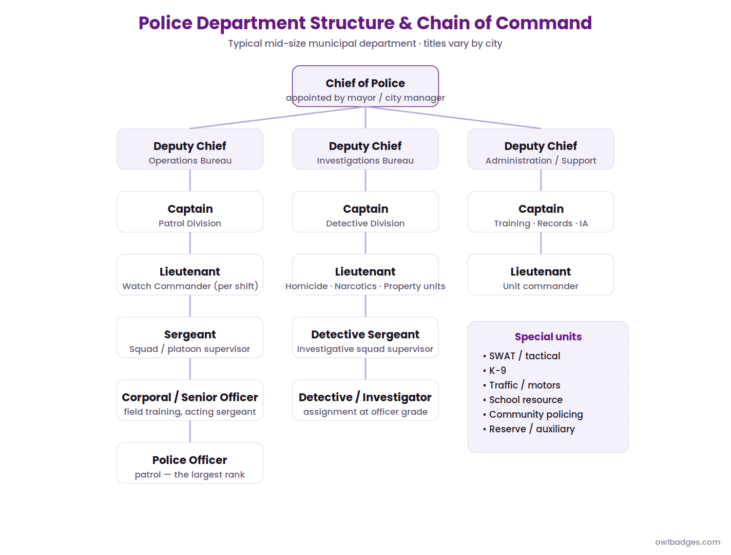 Police Ranks Explained 4 Police department structure and chain of command