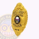 Deputy Chief Bison Top Side. Side view of a bison top gold badge for a deputy chief.