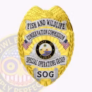 Special Operations Group Eagle Top Badge Front. Front view of eagle top badge in gold and silver for Special Operations Group.