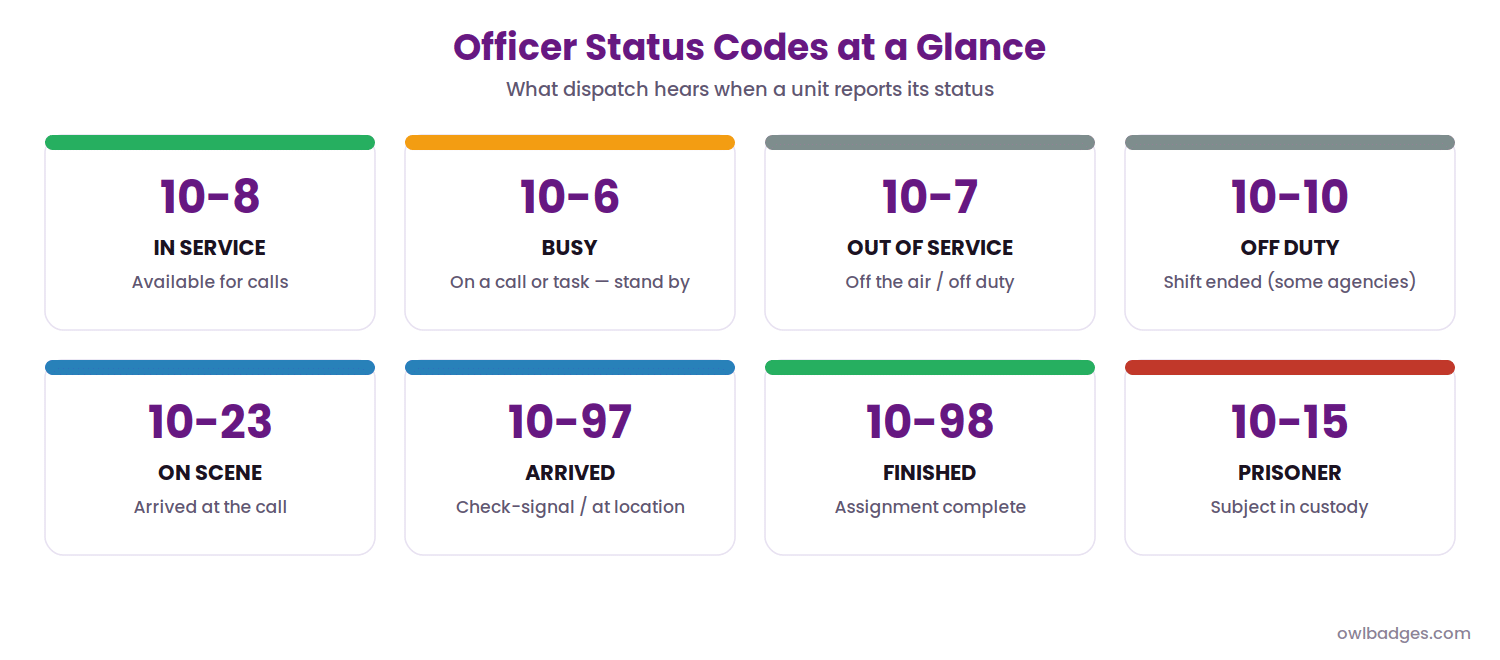 Police 10 Codes: The Complete Guide To Law Enforcement Radio Codes 3 Officer status codes: 10-8 in service, 10-6 busy, 10-7 out of service, 10-10 off duty, 10-23 on scene, 10-97 arrived, 10-98 finished, 10-15 prisoner