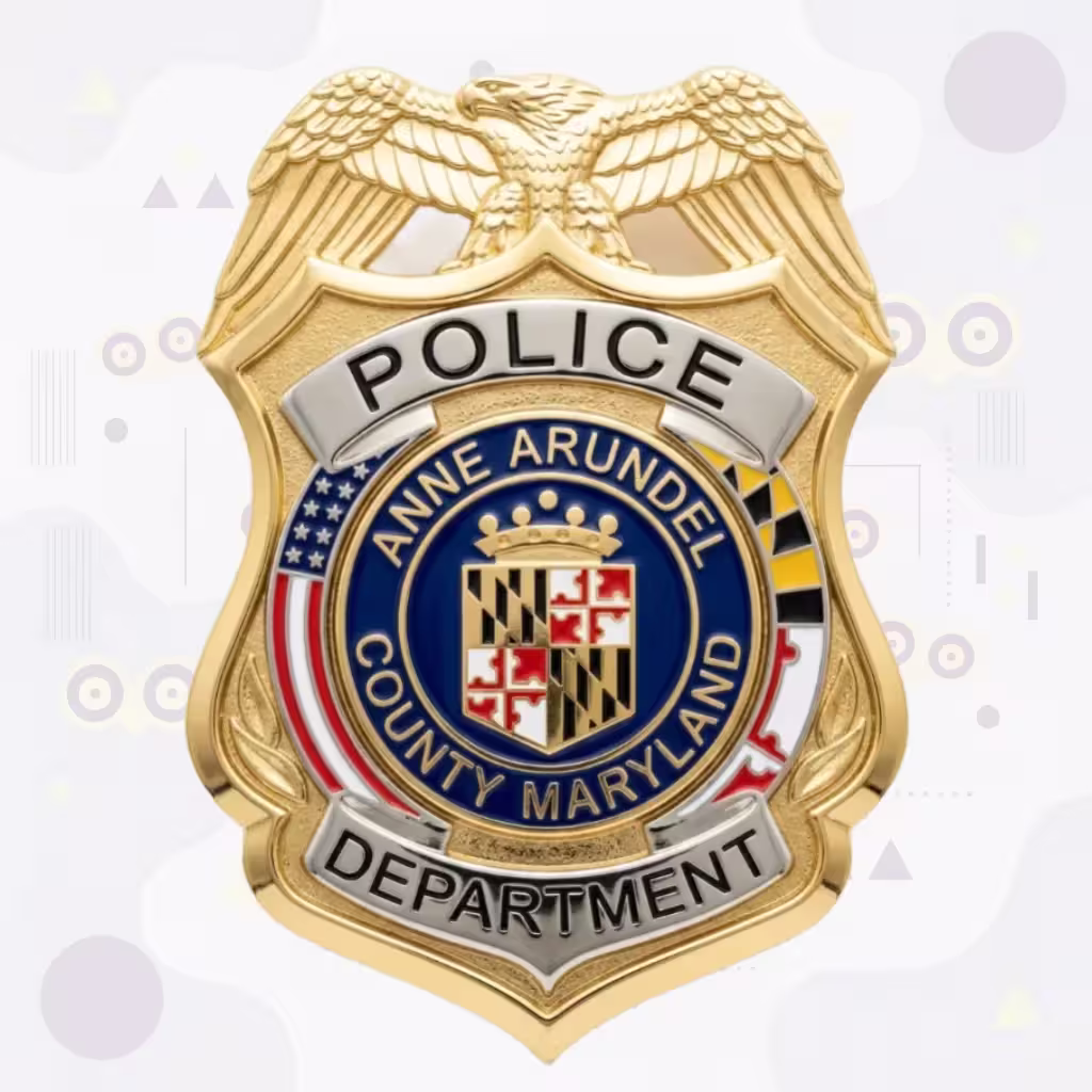 Anne Arundel County Police Gold Eagle Maryland Arms Metal Badge