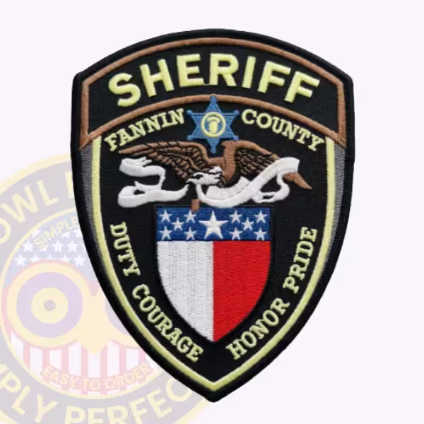 Fannin County Sheriff Patch with Eagle and Red, White and Blue Shield
