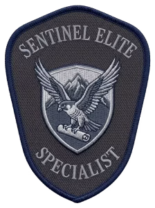 Gray shield security patch with a silver eagle over mountains